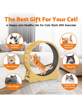 On Sale Advwin Cat Exercise Wheel  Running Wheel